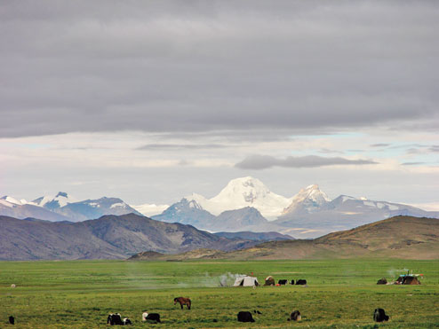 Ancient human footprint in Tibet - Telegraph India