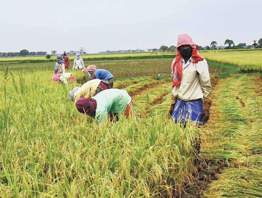 Bengal plans credit for 20 lakh more farmers - Telegraph India