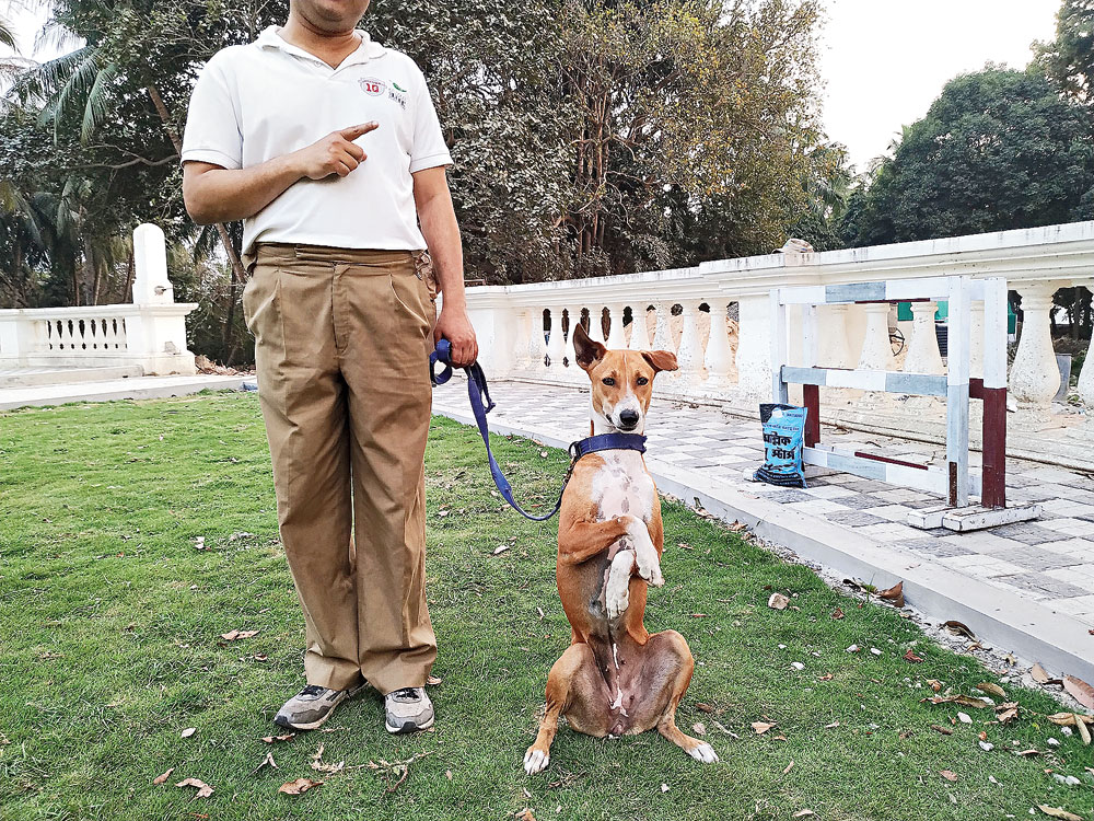 Asha, the police dog