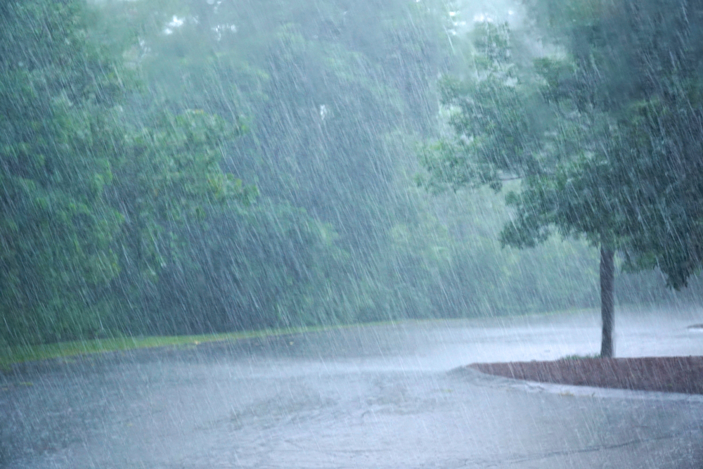 17-killed-as-wall-collapses-in-tamil-nadu-village-following-heavy-rain