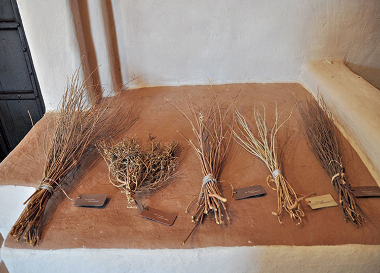 A collection of brooms for outdoor spaces