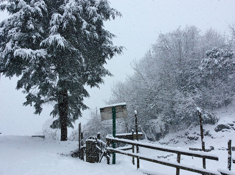 Snowfall in Tshoka