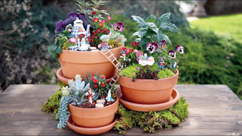 Alice in Wonderland garden