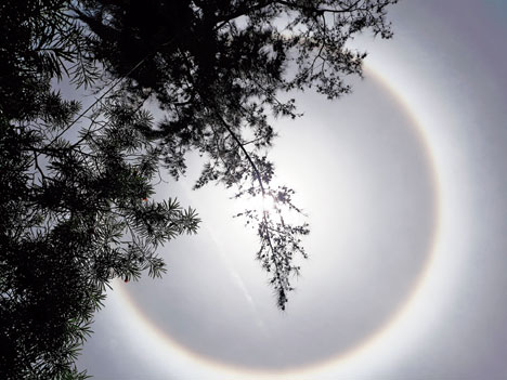 After Bengaluru, Hyderabad Witnesses Rare Atmospheric Phenomenon 'Sun Halo'  | India.com