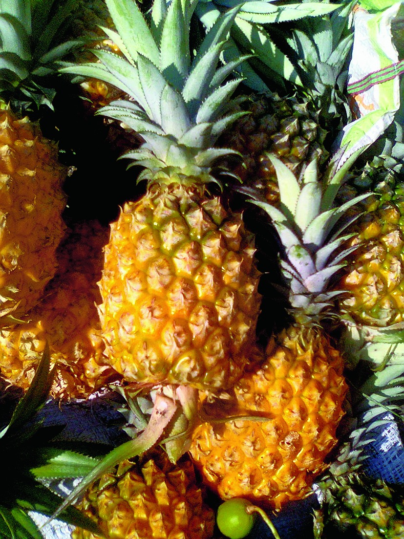 Pineapple fest in Manipur Telegraph India