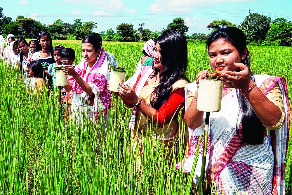 Kati Bihu: Rituals, Significance Importance, 49% OFF