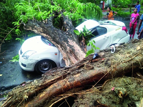 Storm-hit tree crashes on car in Salt Lake - Telegraph India