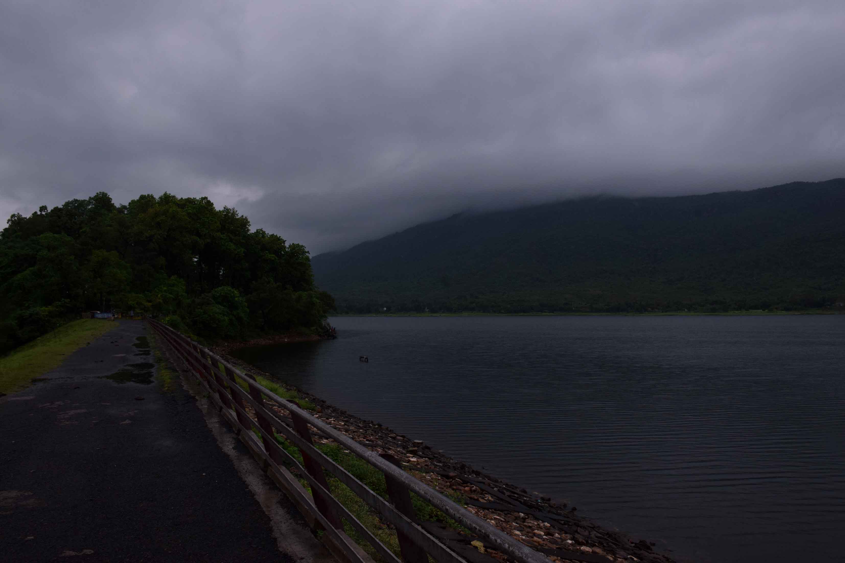 A view of Dimna lake with monsoon clouds hovering over Dalma hills in the backdrop on Wednesday