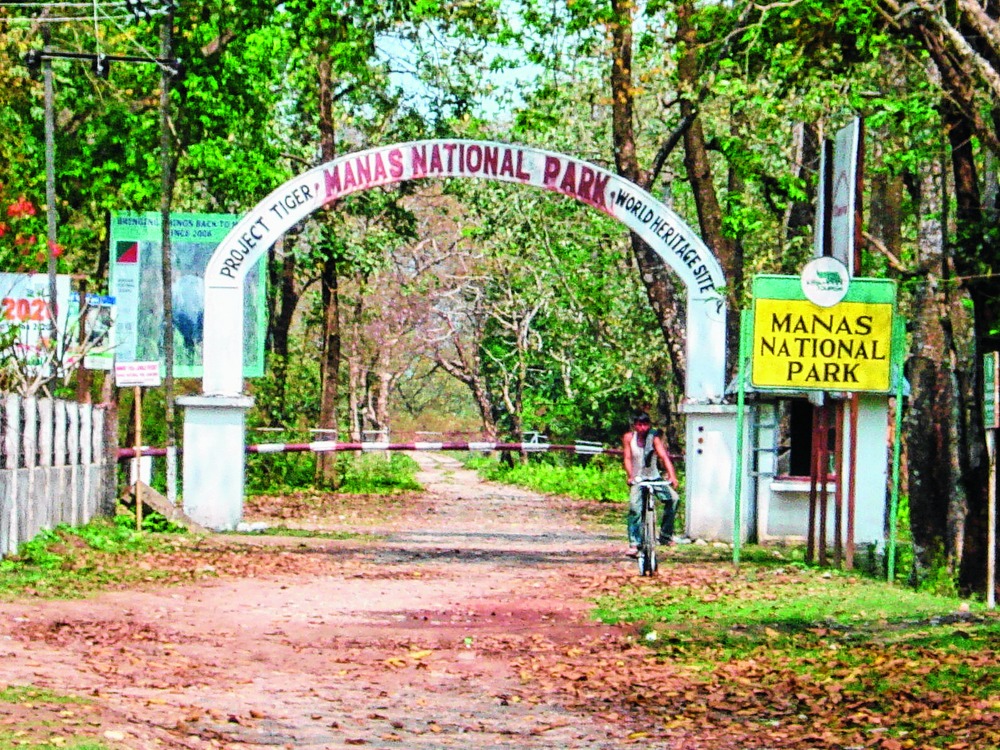 Manas National Park Travel Guide - Assam, India - David's Been Here