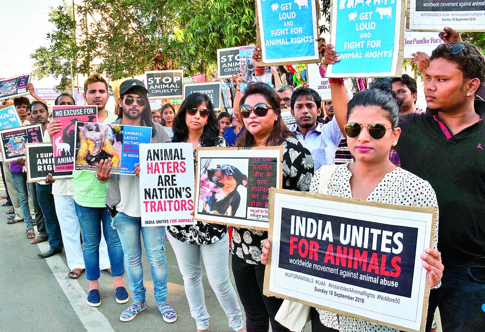 United against animal abuse - Telegraph India