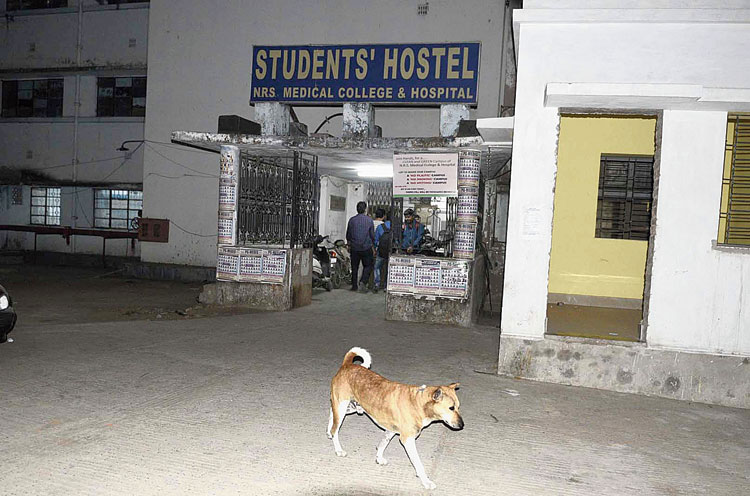 A dog in front of the boys’ hostel on the NRS campus