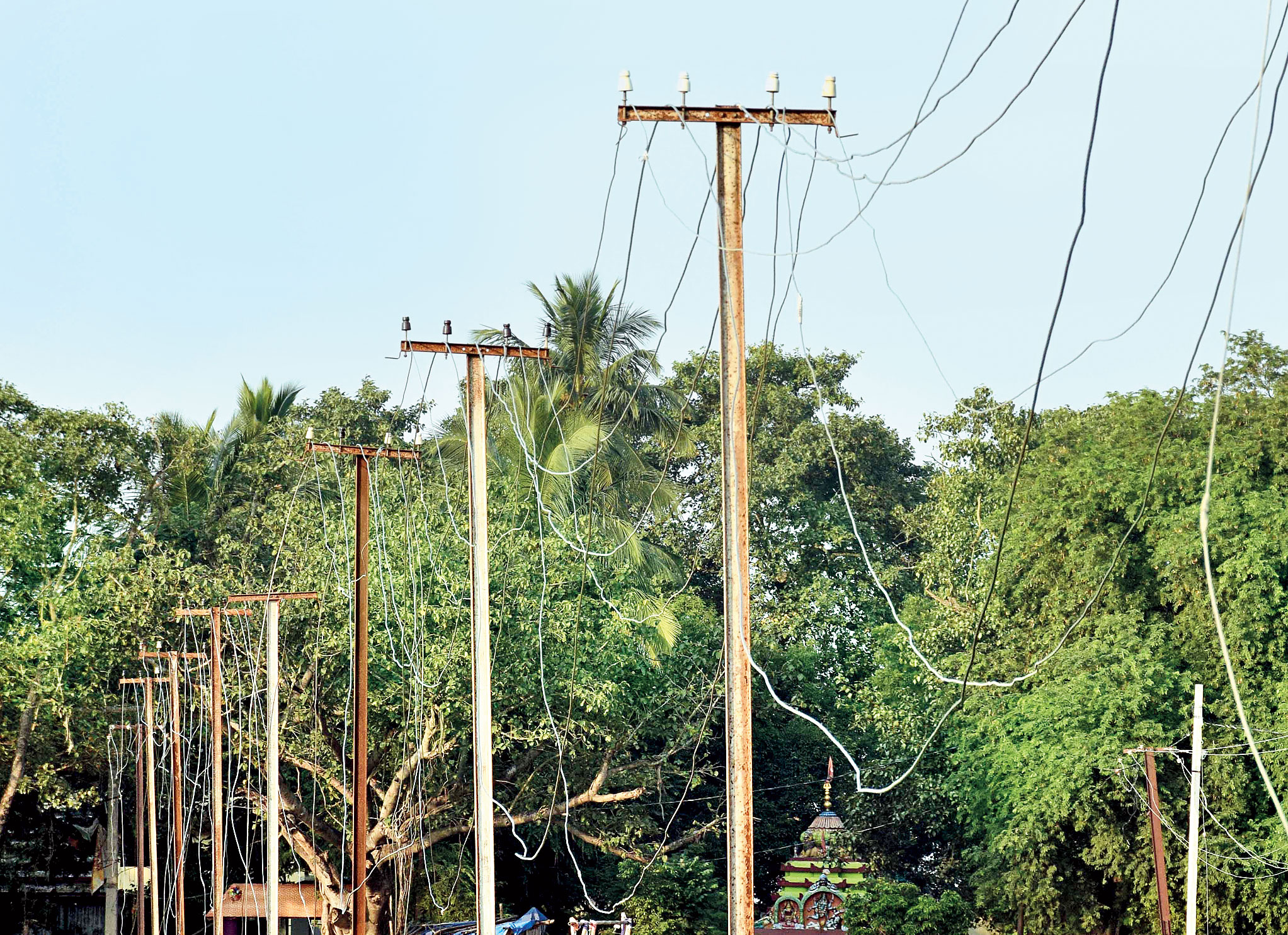 Electric poles coming up for Bali yatra at Cuttack’s Killa Maidan on Sunday. 
