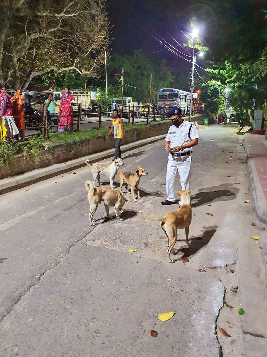 An officer in the  Narkeldanga police station area feeds stray dogs on Friday night