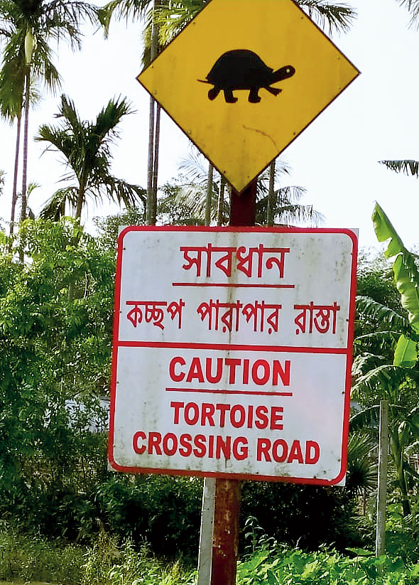 A signboard on the Alipurduar-Cooch Behar highway warns about turtles crossing the road