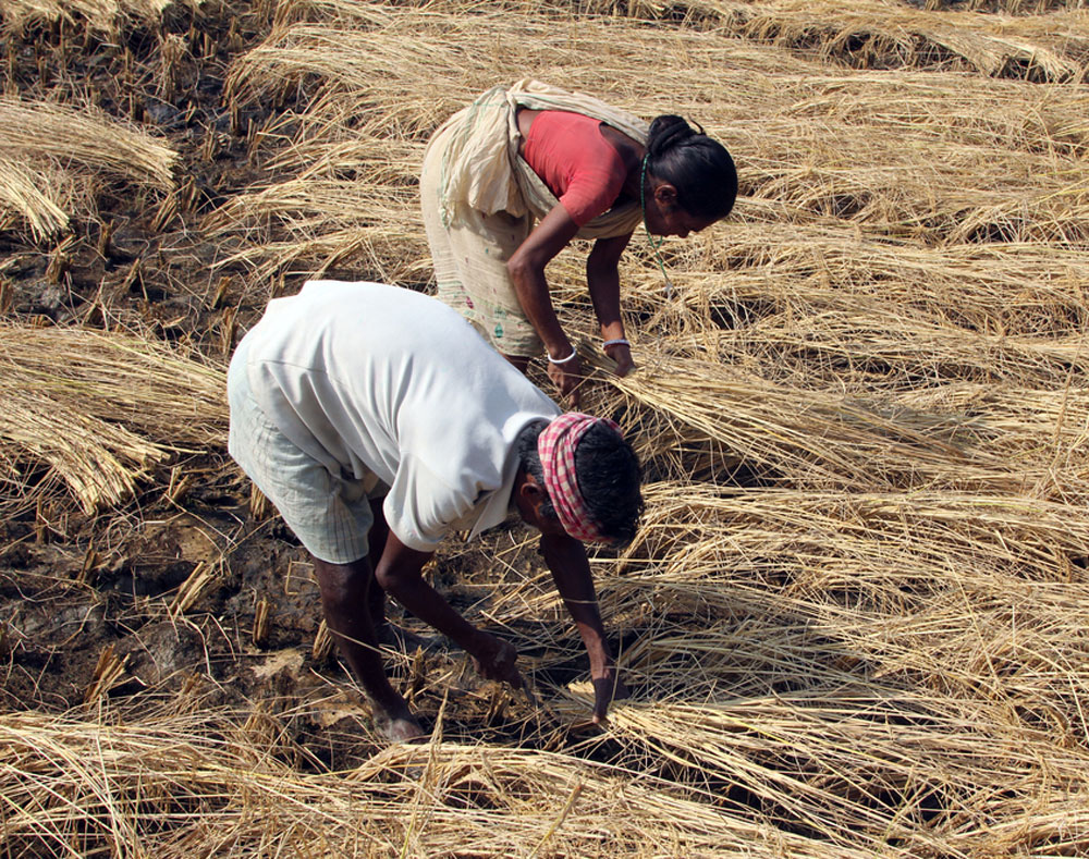Bank of Maharashtra has announced that it will stop giving loans to drought-hit farmers in eight zones in Maharashtra and Madhya Pradesh.