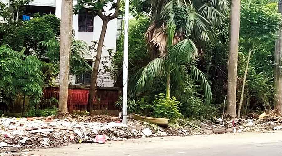 Garbage and branches dumped near City Centre in Salt Lake