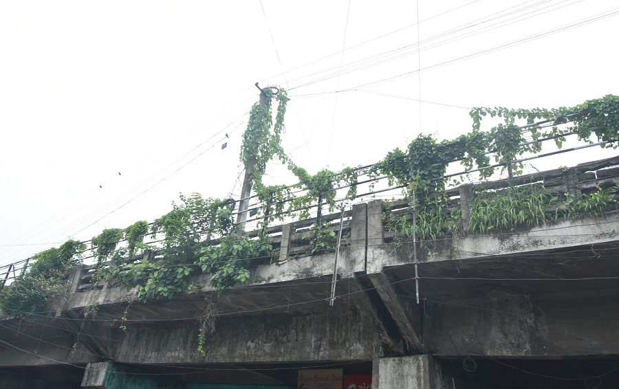 Shrubs have been growing out of the side of the bridge.
