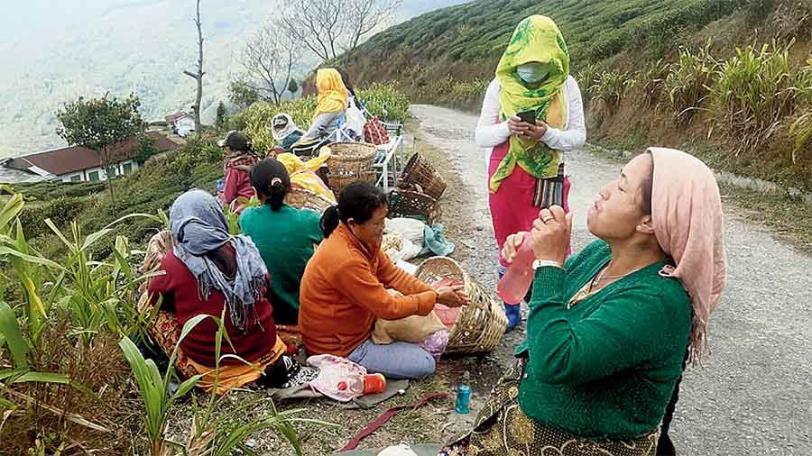 North Bengal tea workers’ cash aid put on hold since April - Halt impacts over 15,000 workers and their families who stay near 15 closed tea gardens amid the pandemic and lockdown