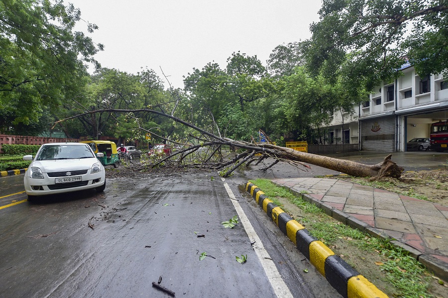 An uprooted tree blocks a road near the Parliament Annexe, after heavy rains in New Delhi on Wednesday