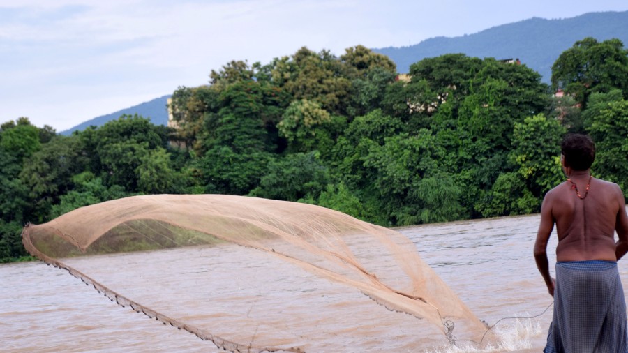 A fisherman casts his net on the swollen Subernarekha river on Friday. 