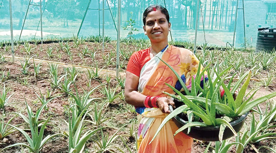 Manju in her field.