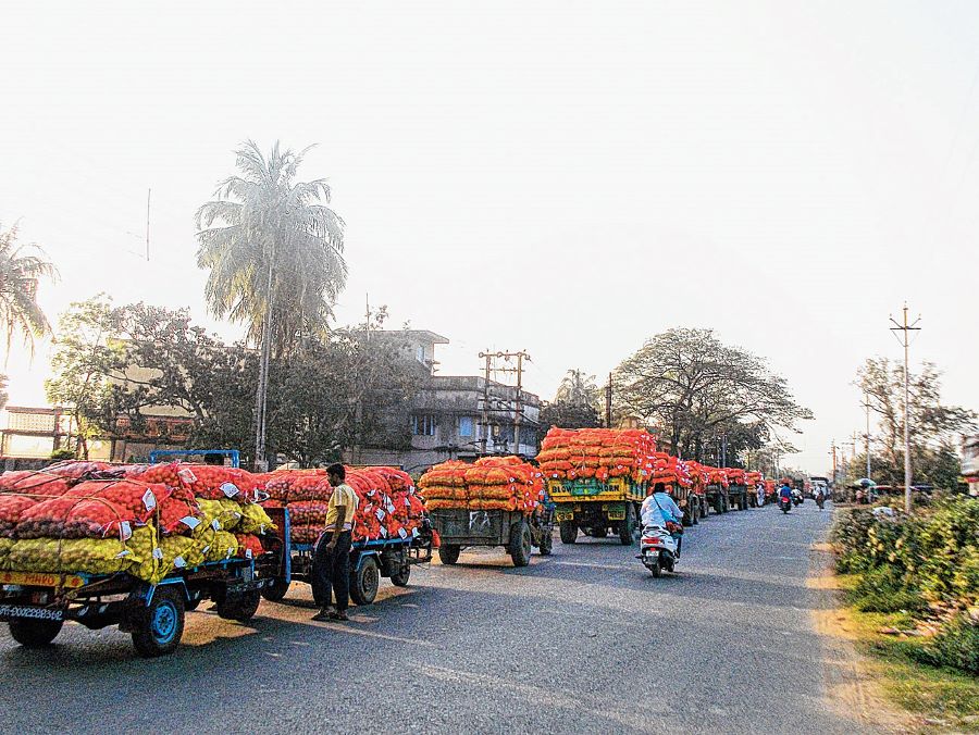 Potatoes trucks lined up outside a cold storage in Kalna