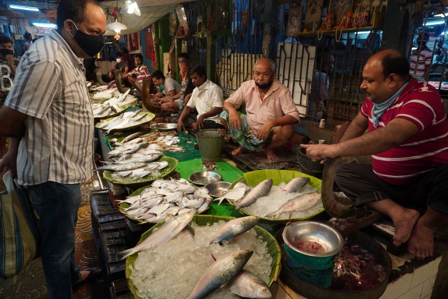 Hilsa being sold at Gariahat market earlier this year