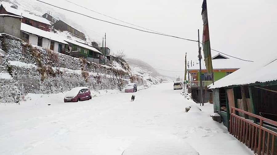 Another stretch covered in snow near the lake