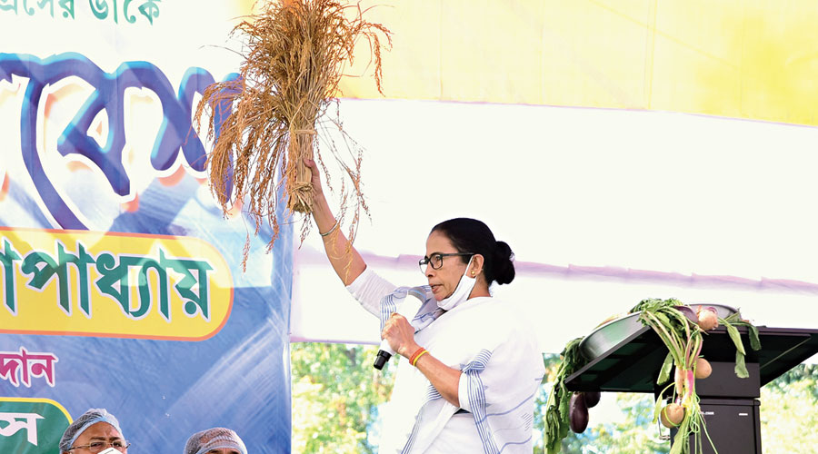 Mamata holds up a sheaf of paddy at the Midnapore rally. 