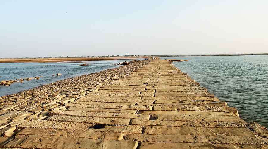 Sher Shah's causeway soon after its discovery by the Archaeological Survey of  India in 2016