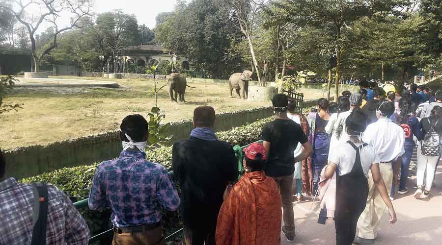 Alipore zoo