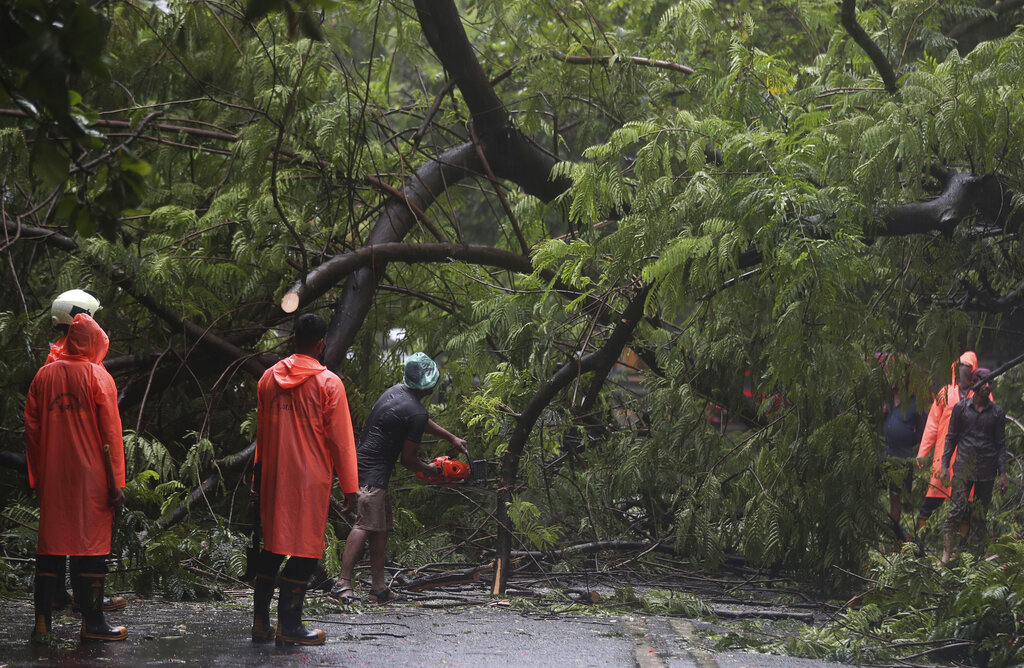 Firefighters clear branches of a tree after it fell during rainfall in Mumbai, Saturday, July 4, 2020. 
