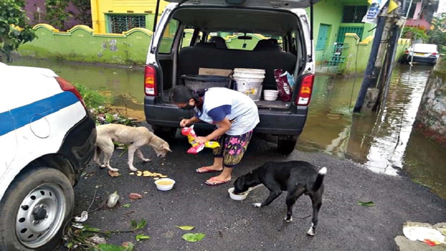 Titas Mukherjee not only feed dogs but also runs an animal shelter