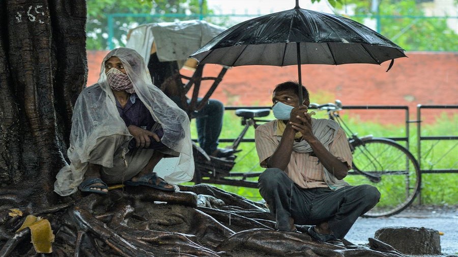 Migrant workers sit under a tree as they wait to get some work on a daily basis during heavy rain, at Labour Chowk in Chandigarh, Wednesday, July 8, 2020.