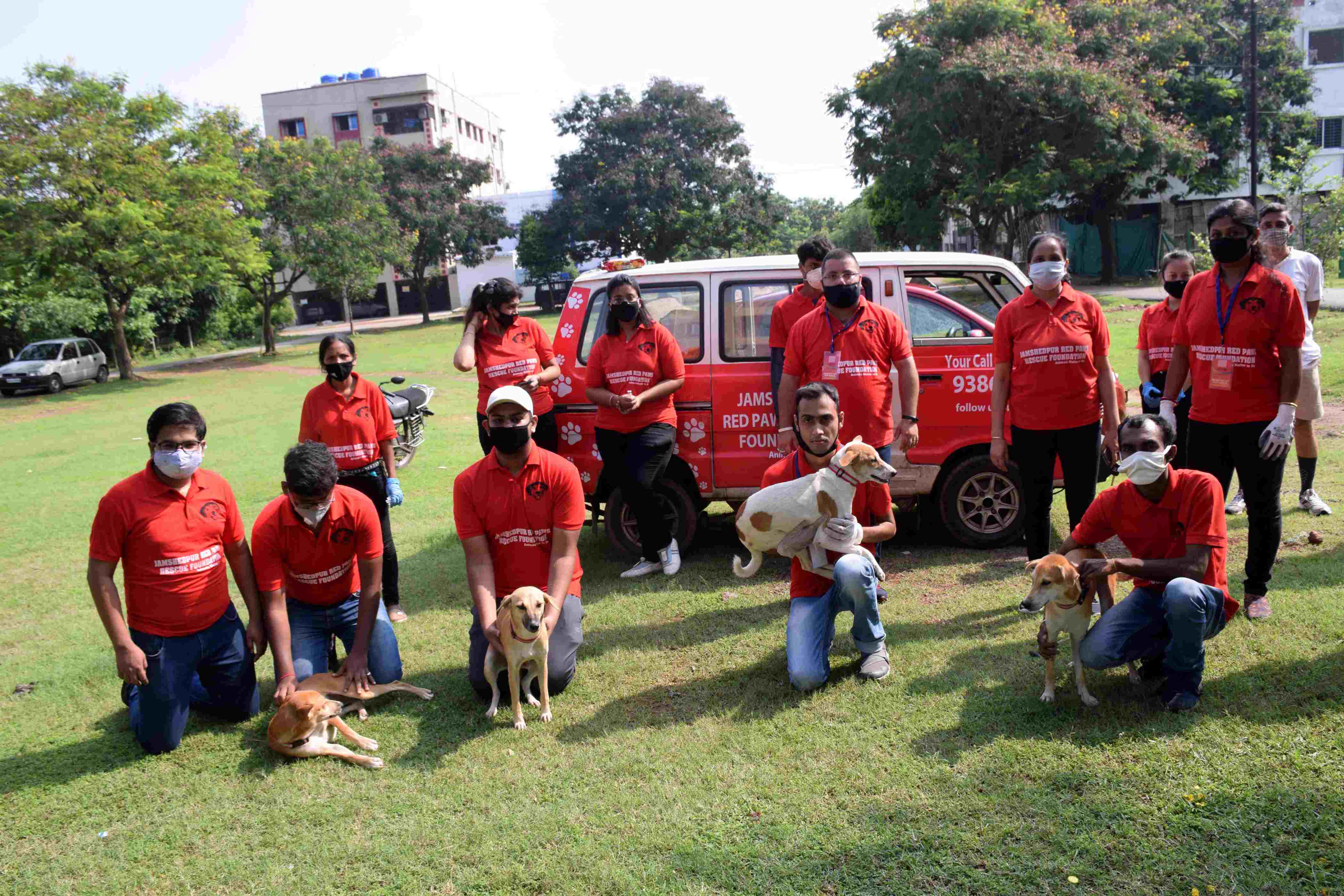 Members of Jamshedpur Red Paws Rescue Foundation with the vaccinated strays in Jamshedpur on Sunday 