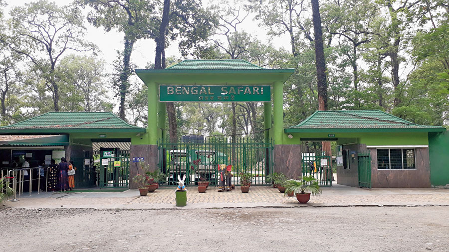 Locked Siliguri zoo unleashes delights virtually -Authorities shoot videos of the wild inmates and upload it on the official website, Facebook page