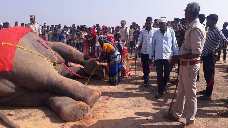 Local residents lay flowers on the carcass of the elephant in Giridih. 
