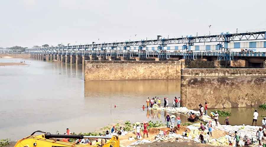 Durgapur barrage | Durgapur Barrage gives water to plants - Telegraph India