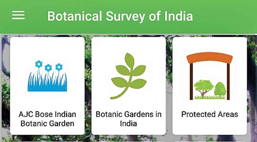 Screenshot of the app developed by  the Botanical Survey of India 