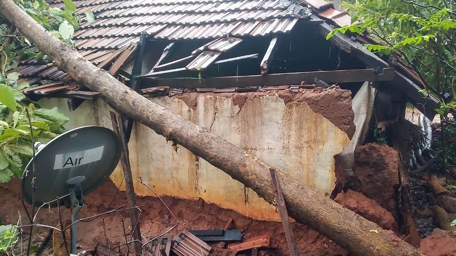 A tree falls on a house in Puducherry, collapsing its wall.
