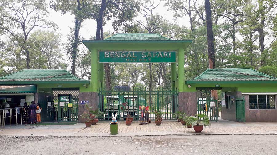 The Bengal Safari Park in Siliguri. 