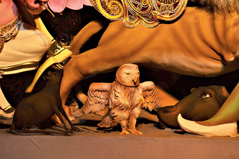 What’s the owl thinking?