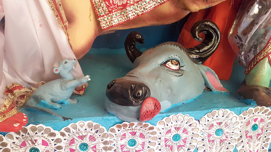 What’s the buffalo head thinking?