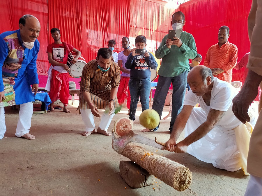 The priest performs the ritual of sacrificing vegetables after the Kumari Puja at Deshpriya Club.