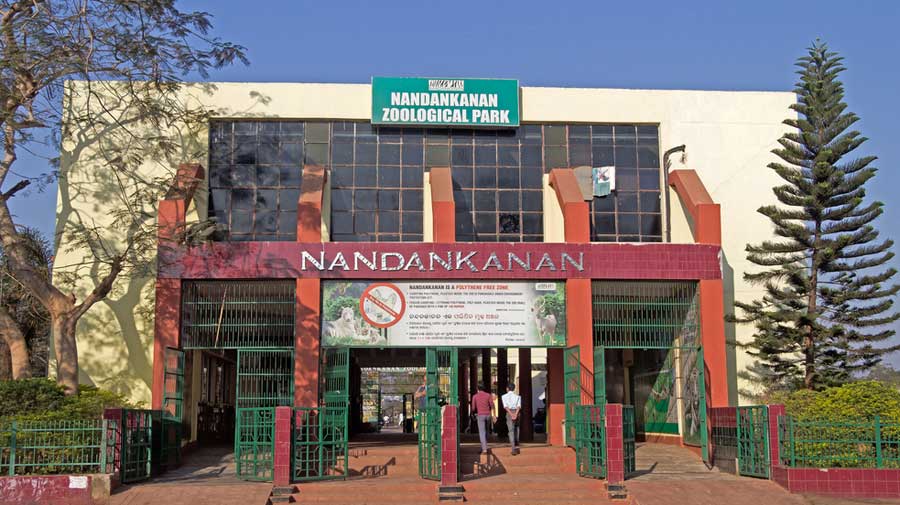 Nandankanan Zoological Park | Odisha zoo offers virtual tour ...