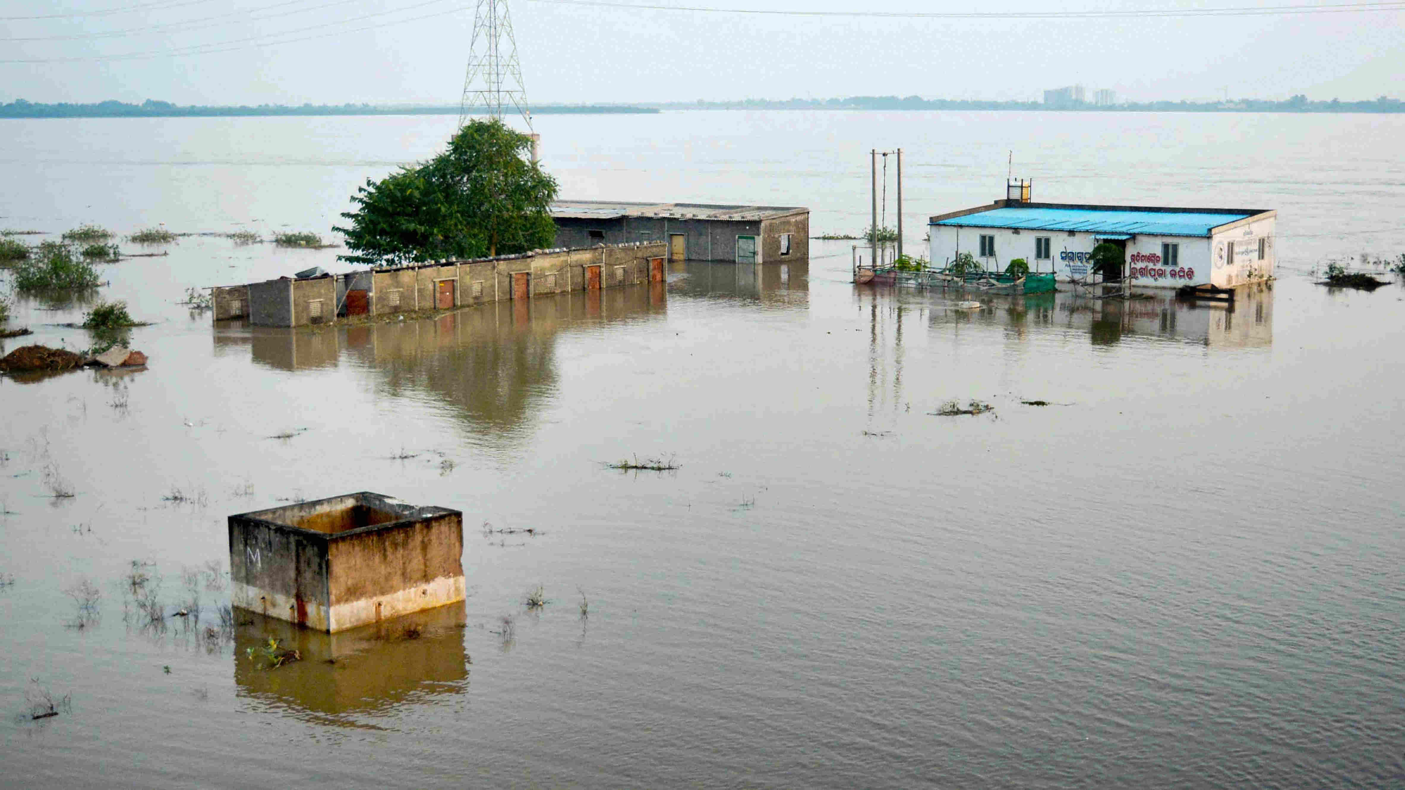 case study of flood in india 2020