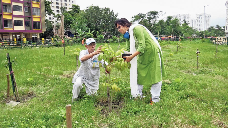 Barun and Purabi Bose tend to the saplings planted by them on the empty plot on AB Block