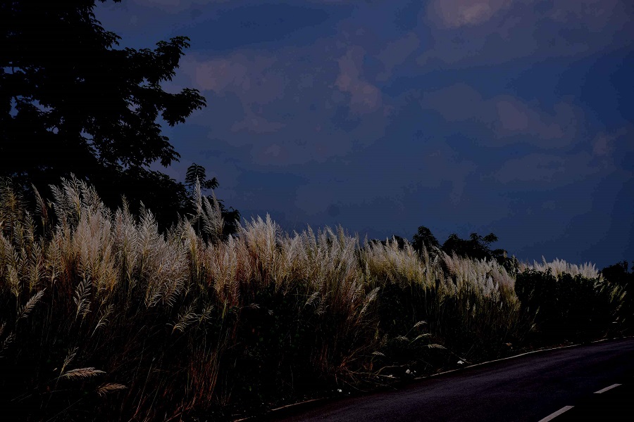 Clouds of varying shades over Dimna on the outskirts of the steel city on Sunday