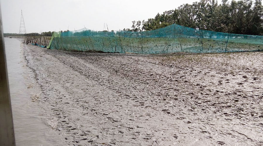 A fishing net erected on a riverbed in the Sunderbans