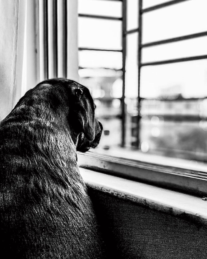 Pragnajyoti Mukherjee, BF Block, New Town